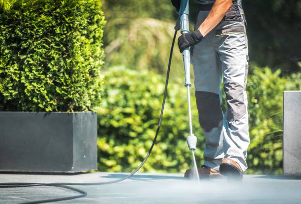 Best Dumpster Area Cleaning  in Goldstream, AK