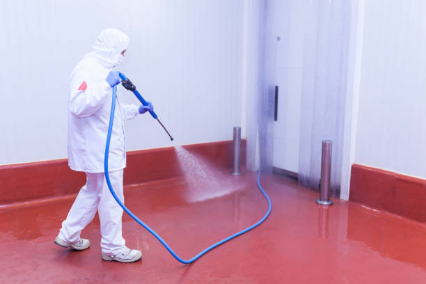 Best Patio and Deck Pressure Washing  in Goldstream, AK