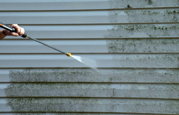Best Spring Cleaning  in Goldstream, AK